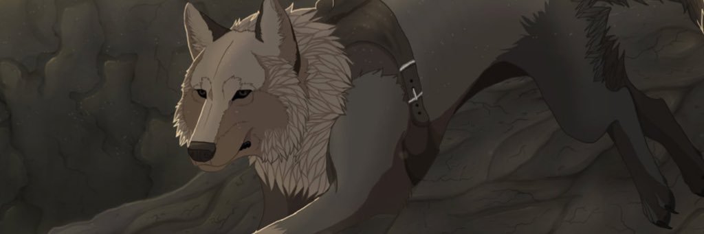 pauley_a's profile banner image