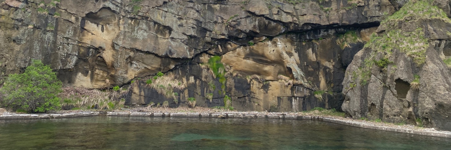 きのみるく🔞 banner