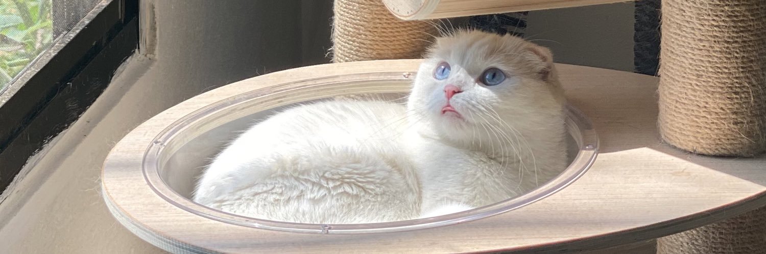 LollipAm's profile banner image