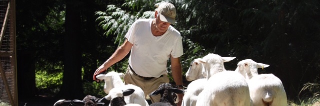 jerrymussio's profile banner image