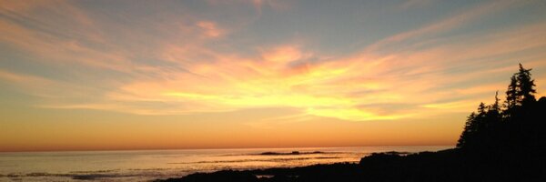 BraniffMonica Profile Banner