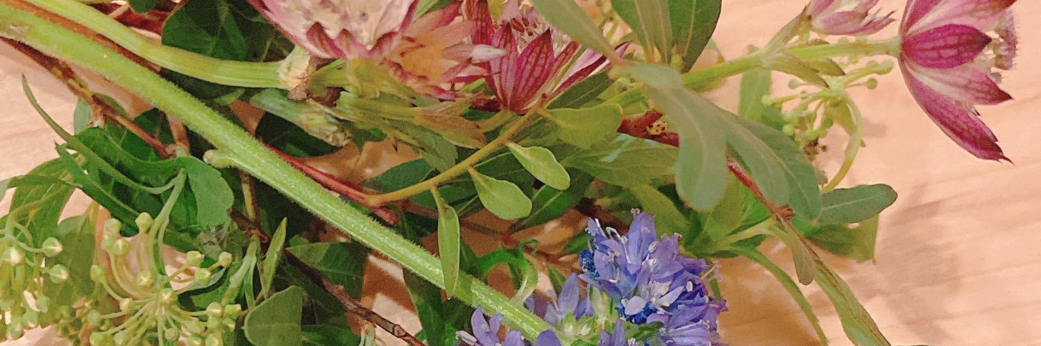 ProjectWellbe's profile banner image