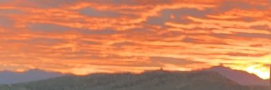 amandastevvv's profile banner image