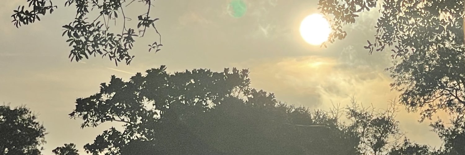 PunctualWizard's profile banner image