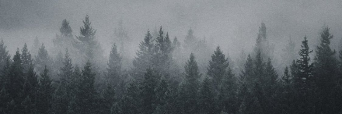 awesomeamaro's profile banner image