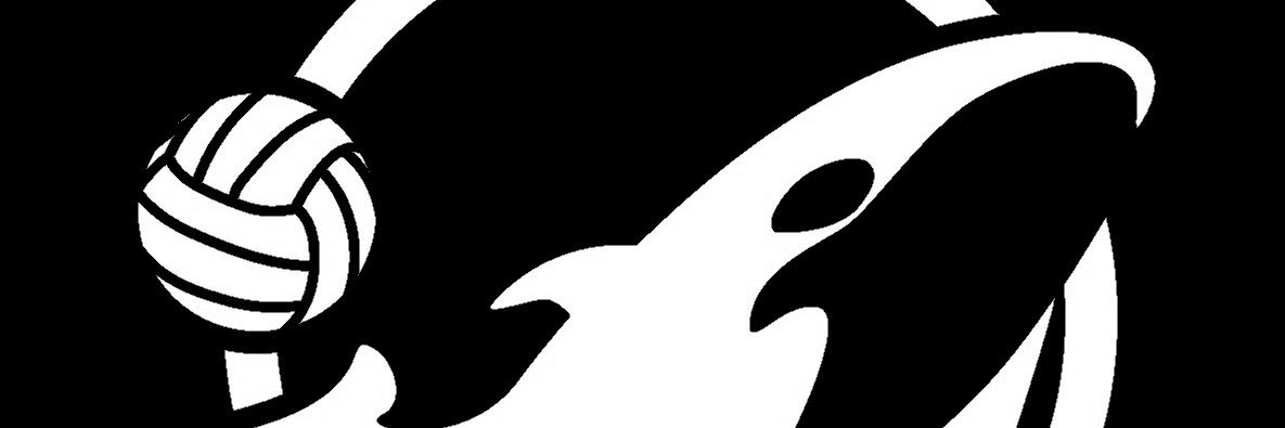 ShirakoChi's profile banner image