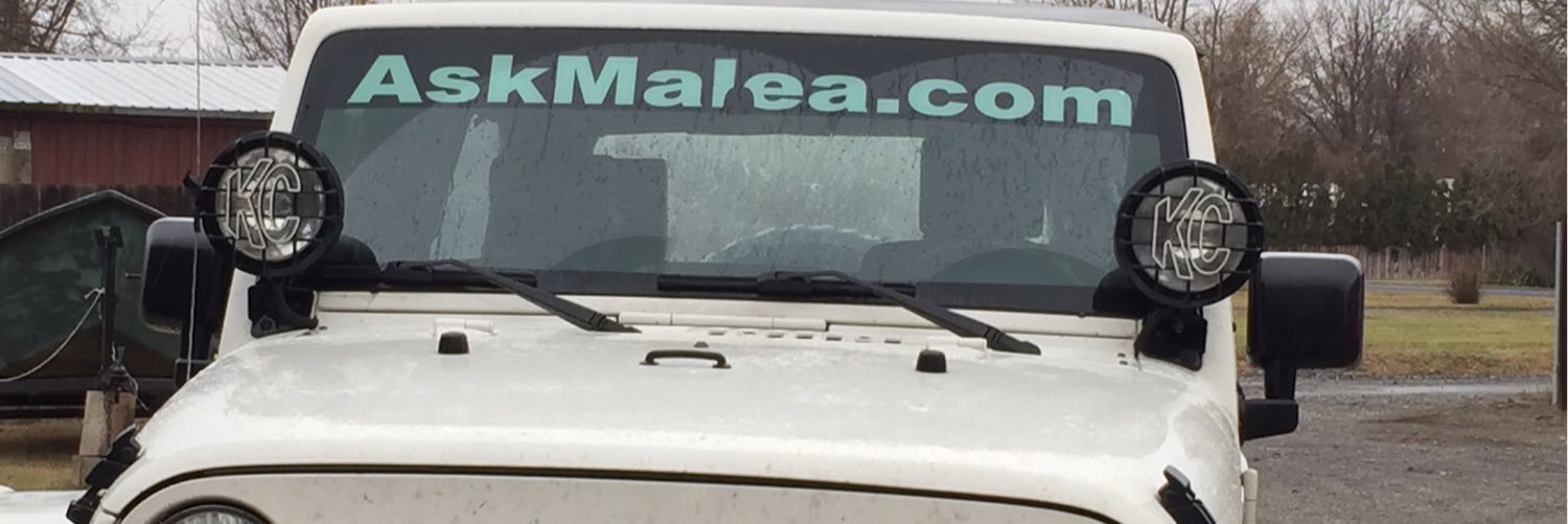 MaleaC's profile banner image