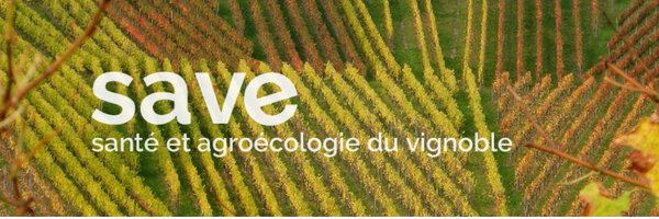 inrae_save Profile Banner