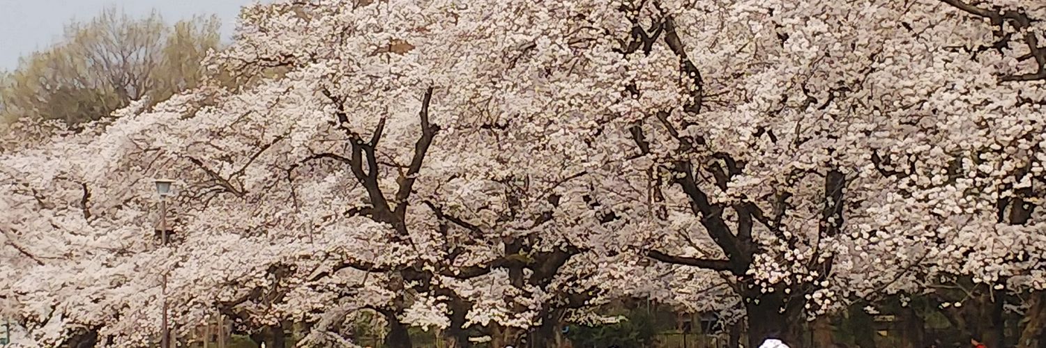kou17610's profile banner image