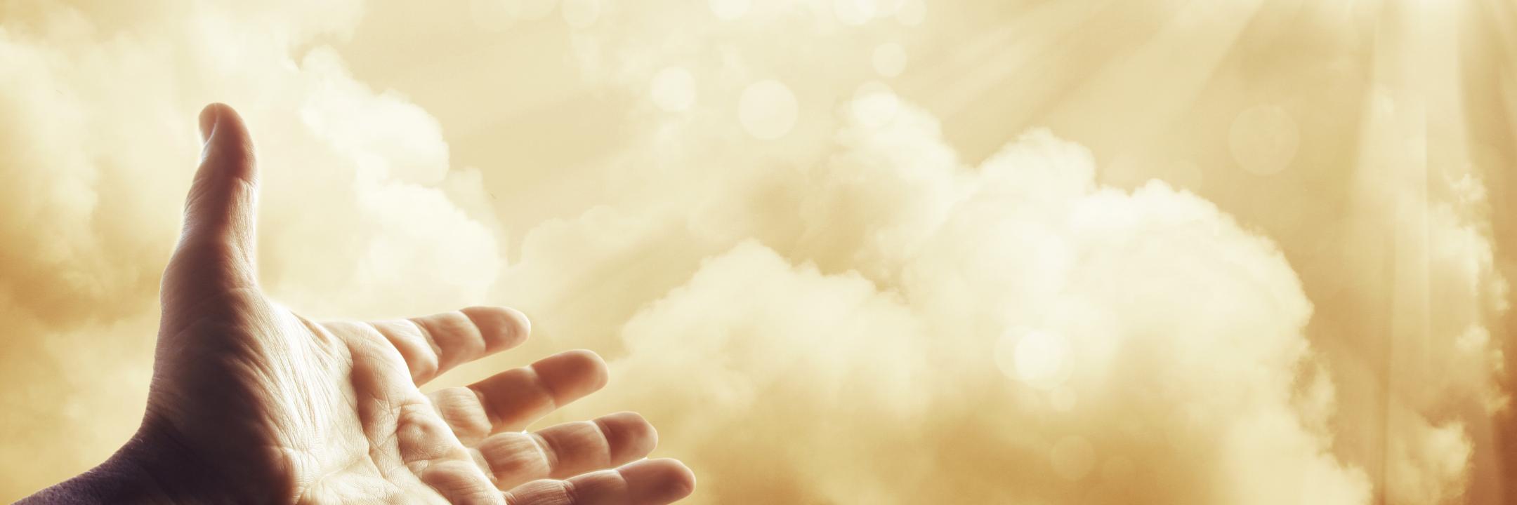IntentoDeAngel's profile banner image