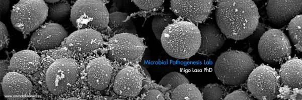 lasa_lab Profile Banner