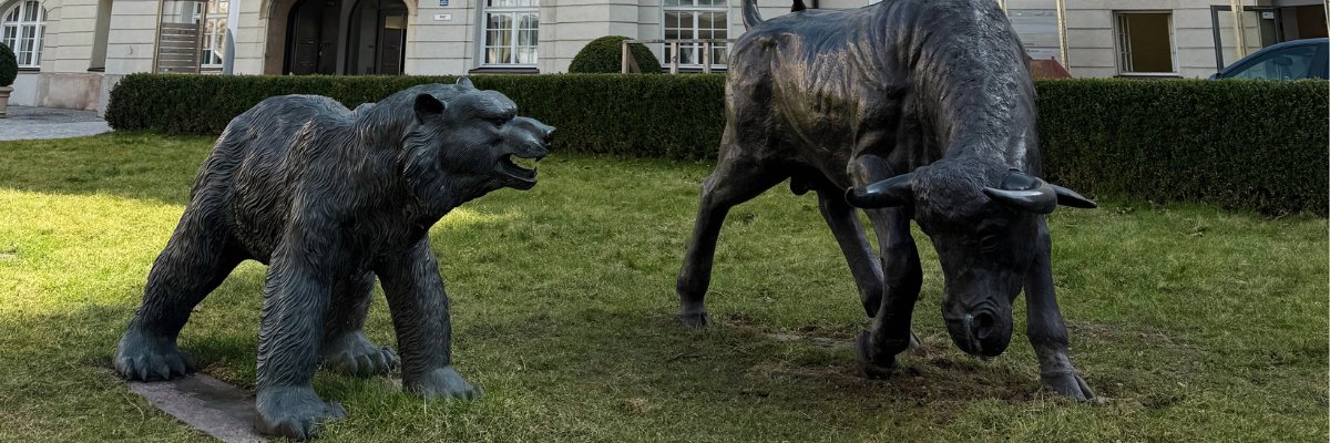 bayboerse's profile banner image
