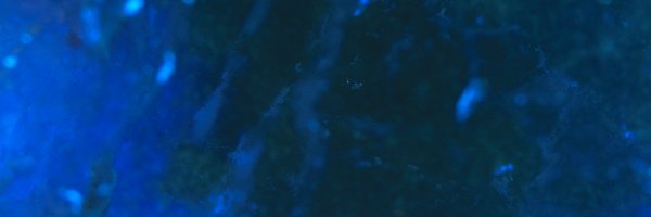 erikharold Profile Banner