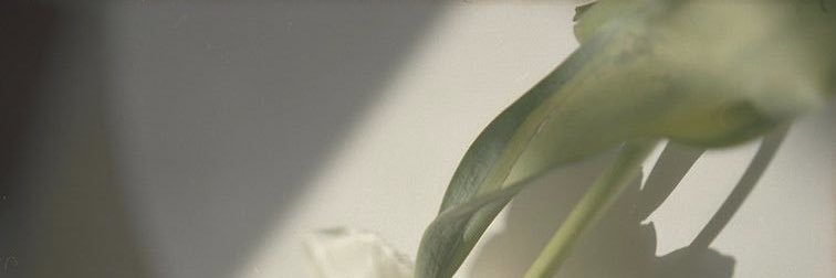 ppsspm's profile banner image