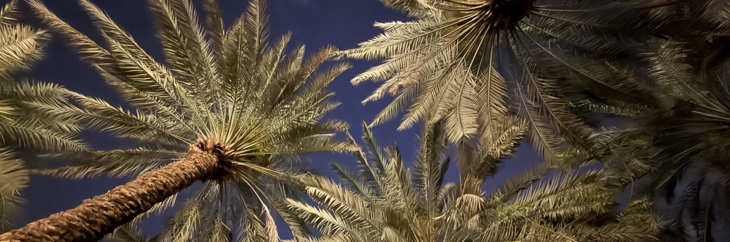 🌺 banner