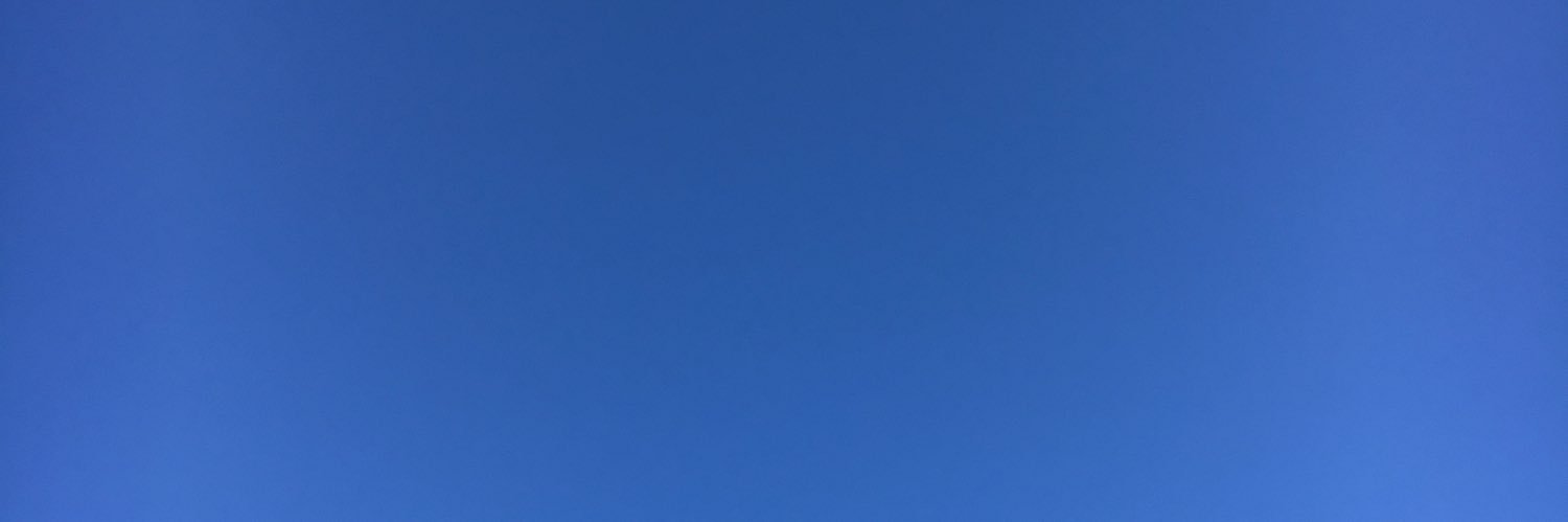 luxi_fur's profile banner image