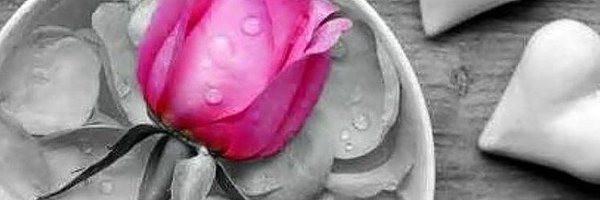 ltz_hla Profile Banner