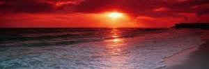 mely_coronel_AP's profile banner image
