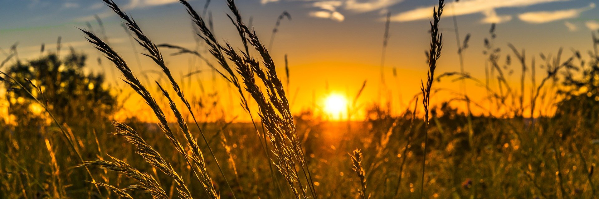 AmPrairieCorr's profile banner image