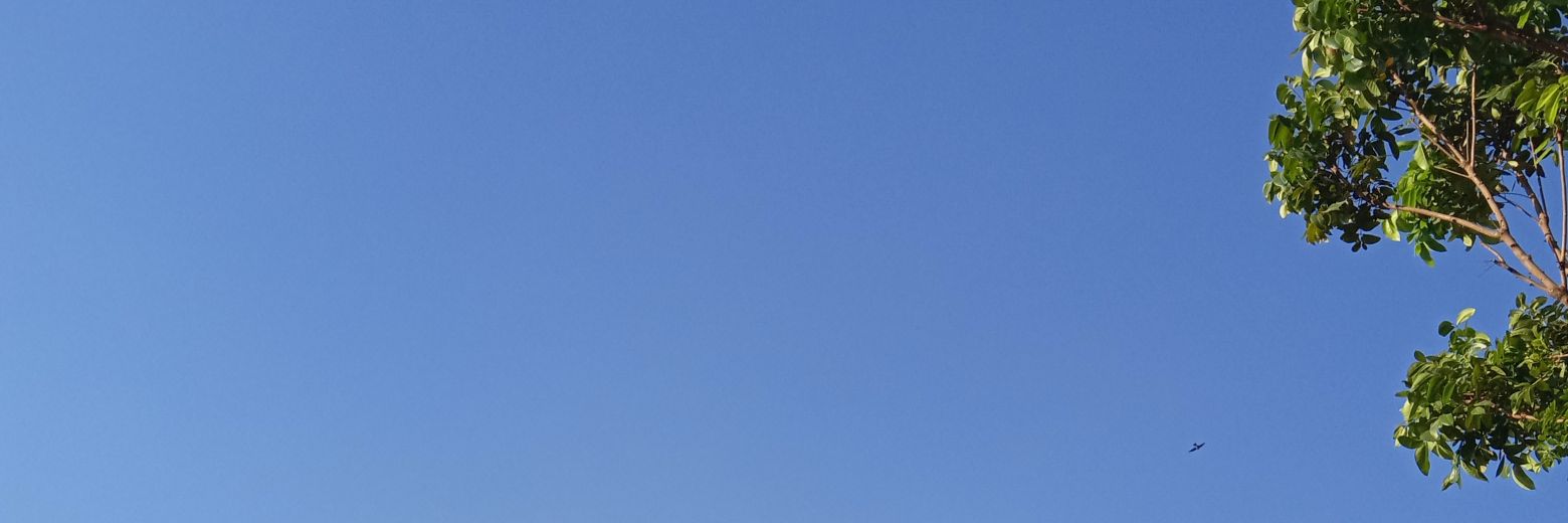 alfnarossa's profile banner image