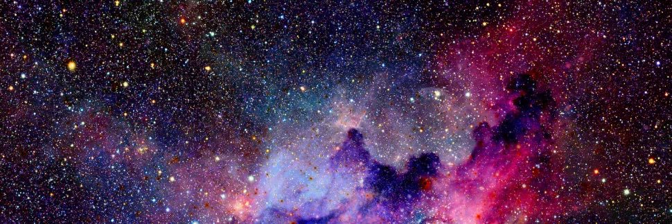 shoshana's profile banner image