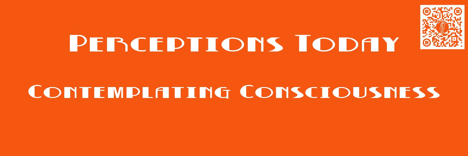 Perceptions_Today banner