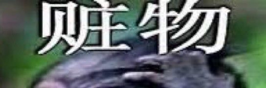 gigierimn's profile banner image
