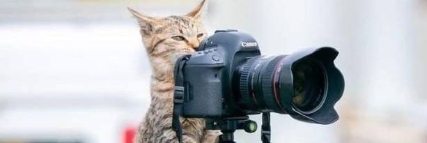 Don 🇺🇦🇦🇺 banner