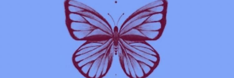 DudaSimonato's profile banner image