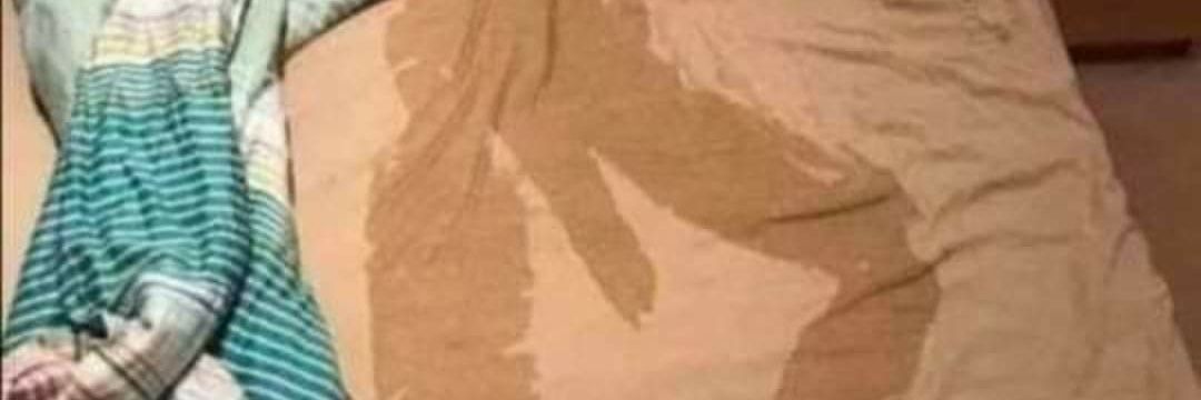 Adriano Celentano banner