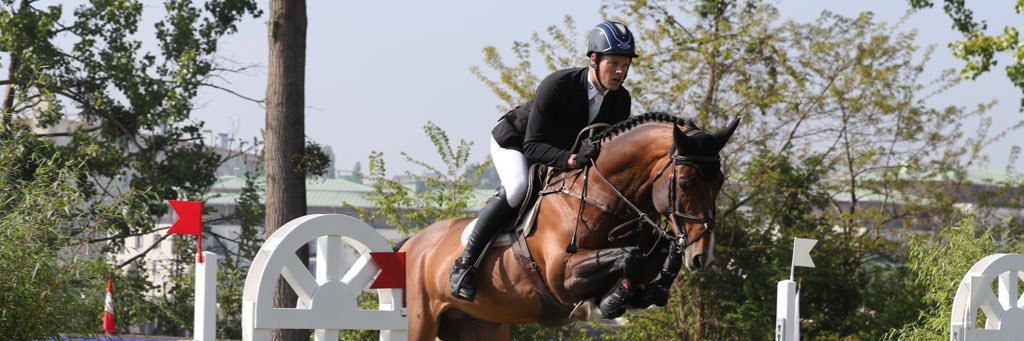 Daniel Moseley banner