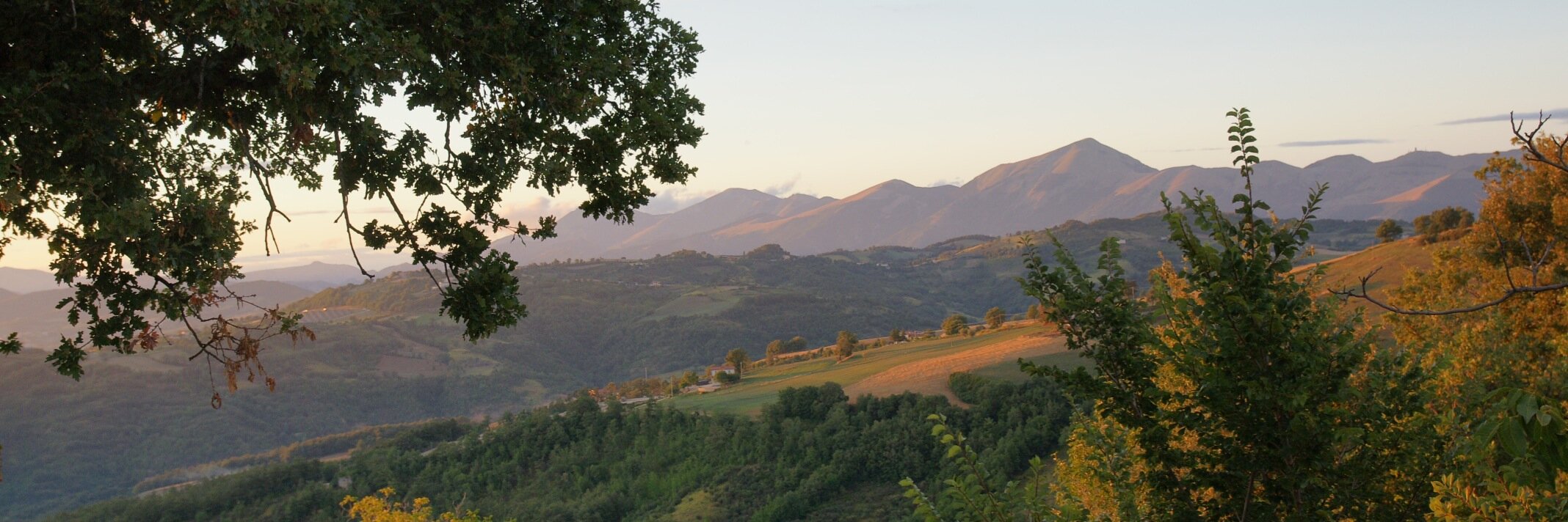 AlfredMaas's profile banner image