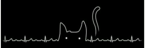dyhptr16's profile banner image