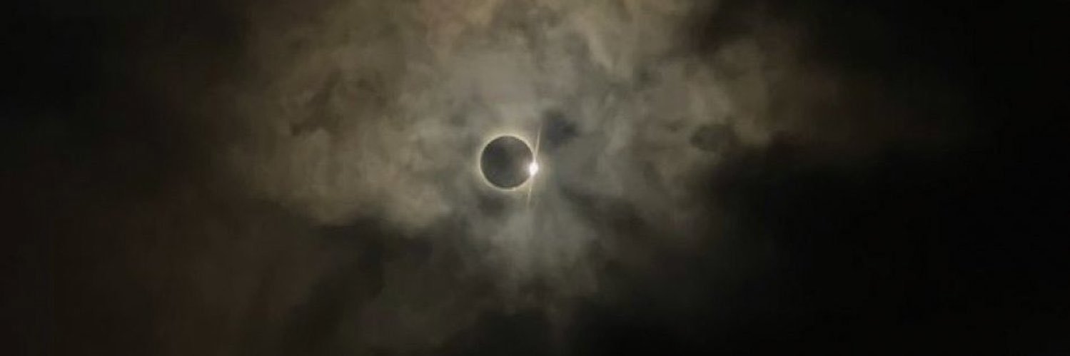 selenee_25's profile banner image