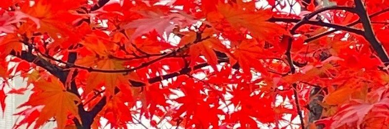 5sekima9's profile banner image