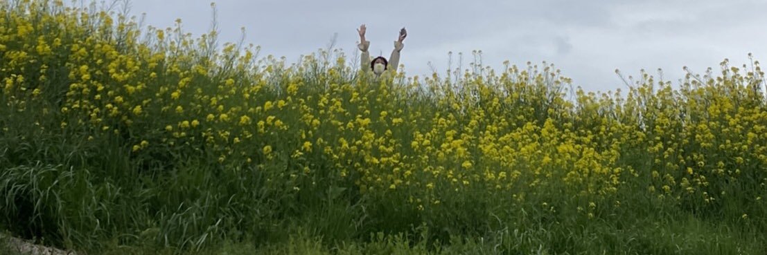 にこへい banner