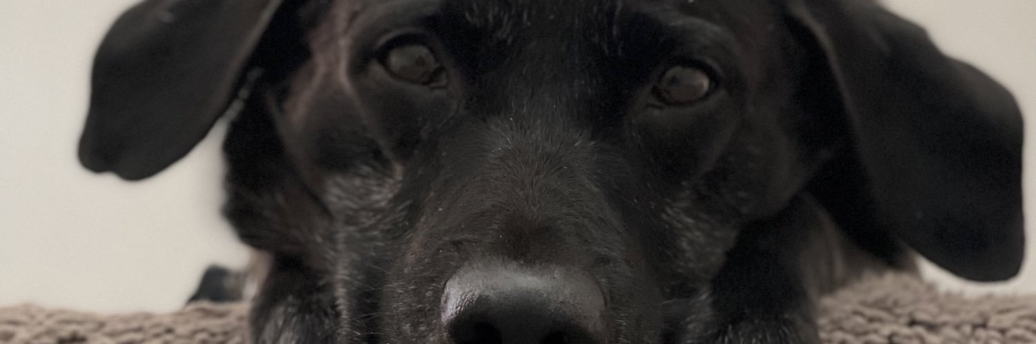 JamesMM1979's profile banner image