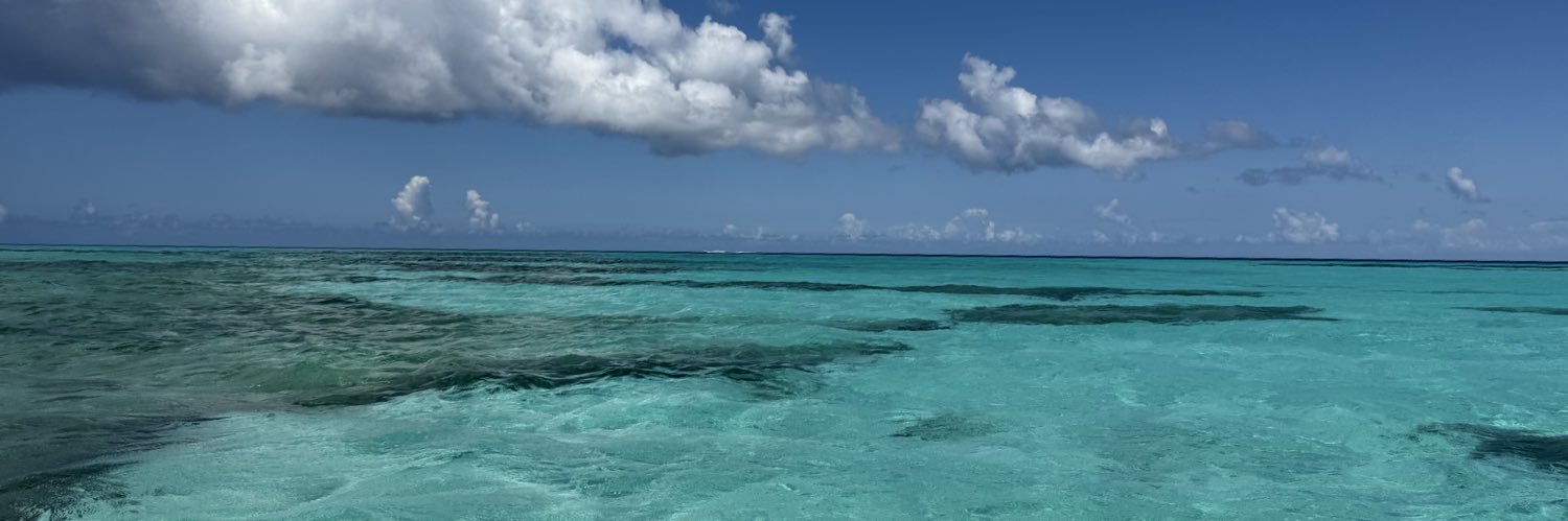 𝗖𝗨𝗥𝗥𝗢 𝗔𝗩𝗔𝗟𝗢𝗦 🌐 banner