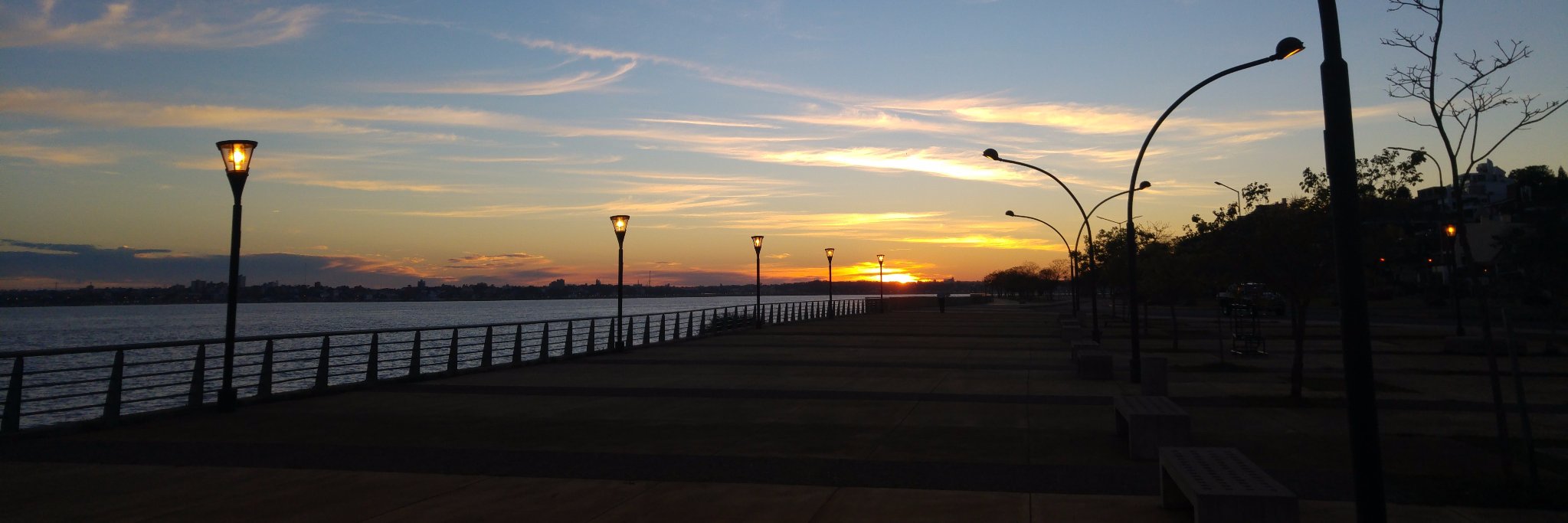 Javier Berger banner