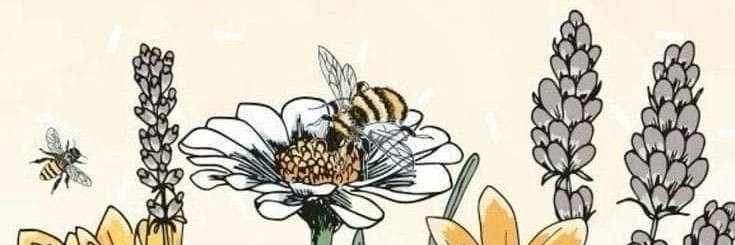 cristalprto's profile banner image