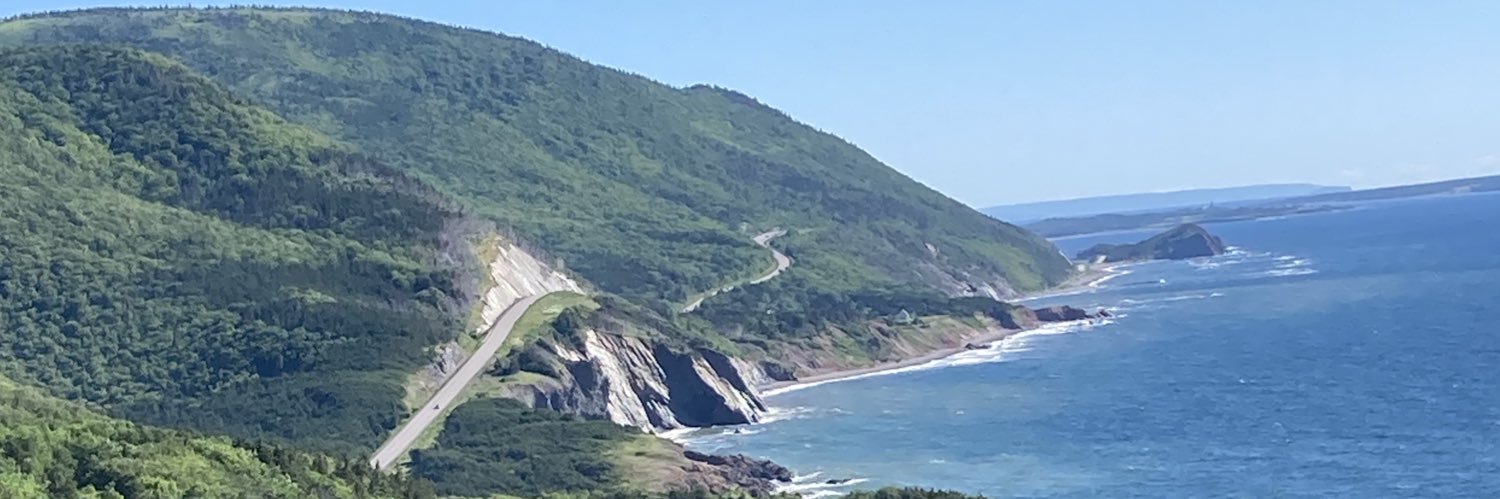 Teresa Marques banner