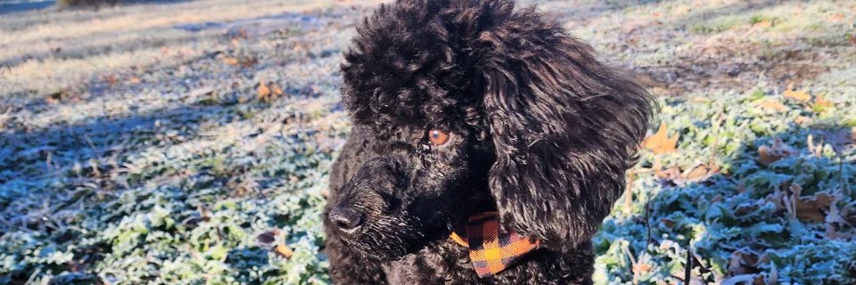 BenjaminnVogel's profile banner image