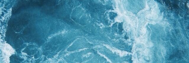 _savannahs's profile banner image