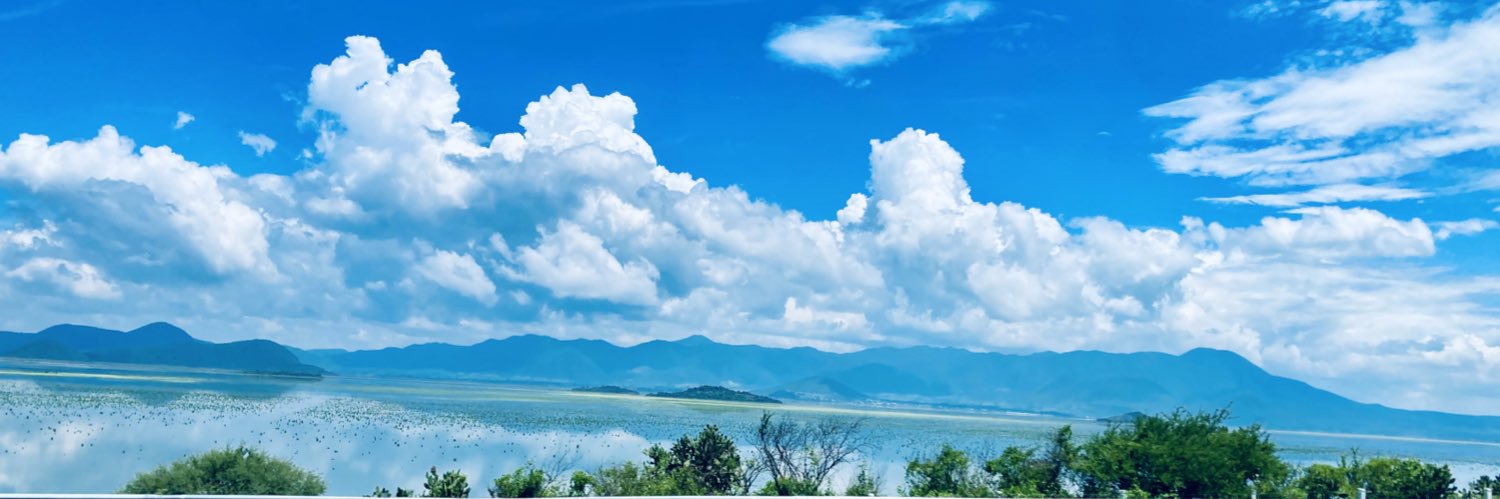 chokoyui's profile banner image
