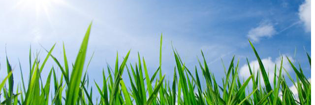 boutiquevegetal's profile banner image