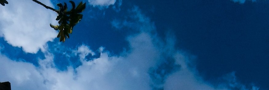 Nadschff's profile banner image