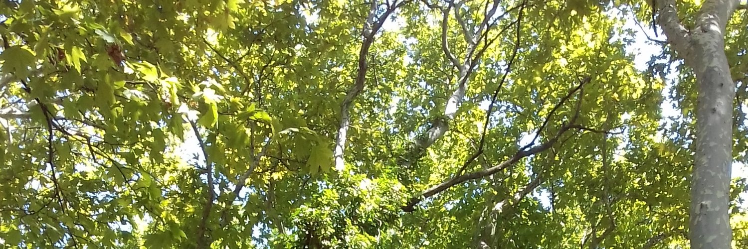 Ελισώ's banner
