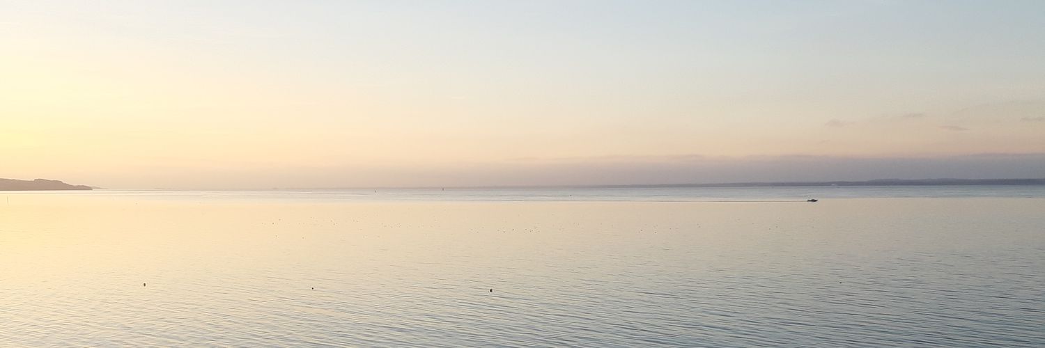 Lil___C's profile banner image