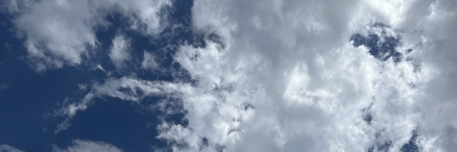 LAPIS banner