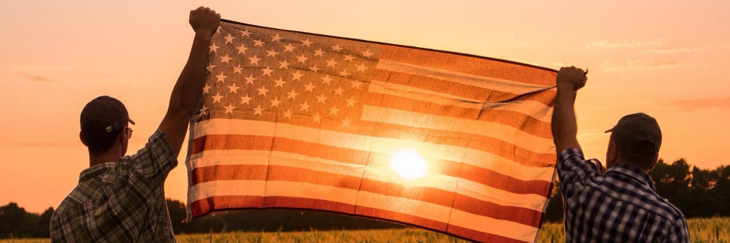 IncisiveTrader's profile banner image